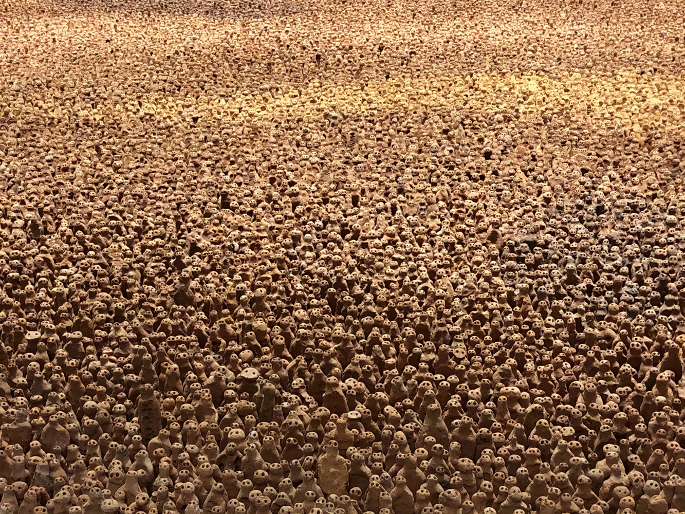 P10-close up 3 P10-close up 3