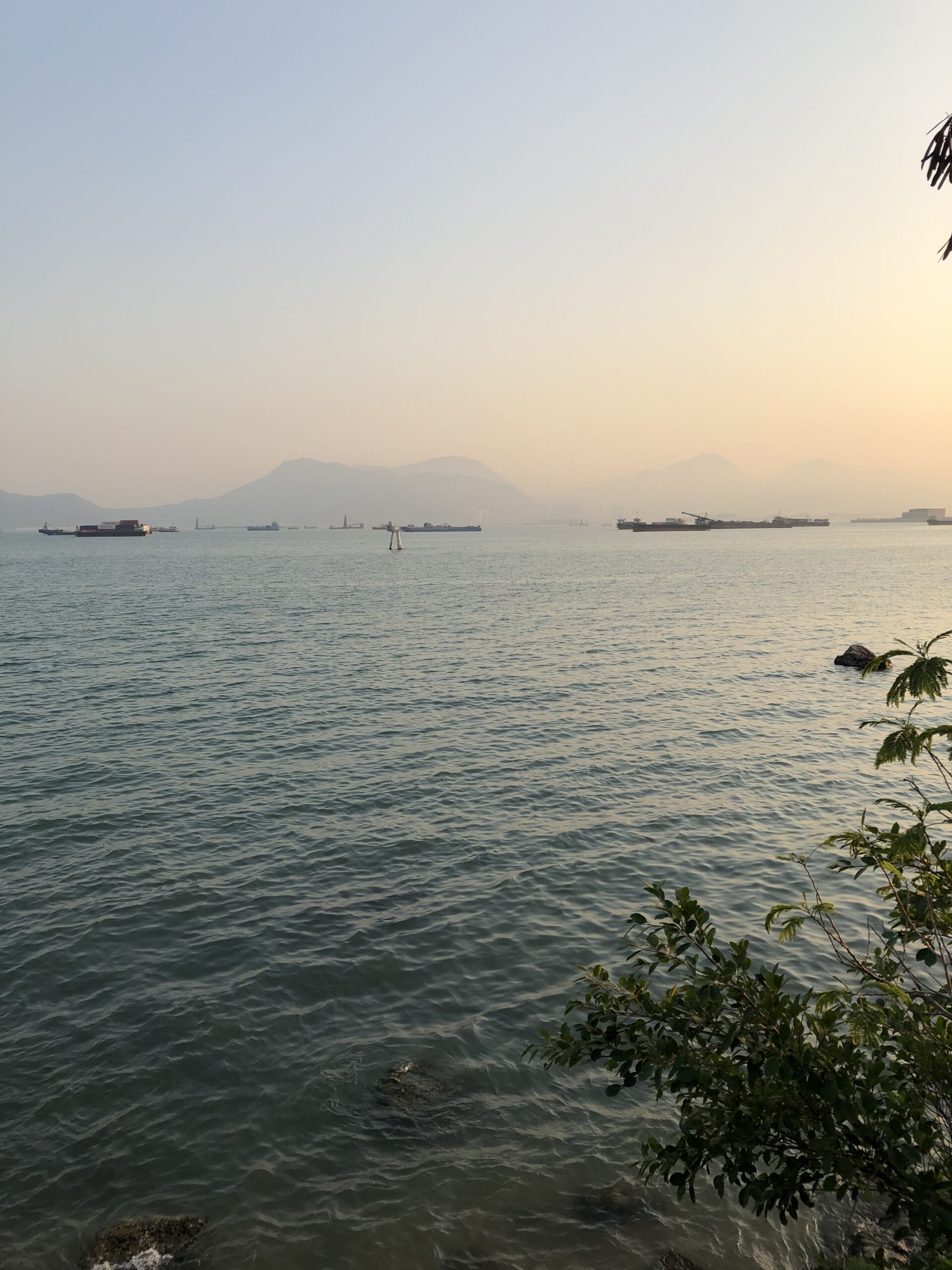 1955D8E4-C164-4073-8EF3-4F1091495CBF 1955D8E4-C164-4073-8EF3-4F1091495CBF