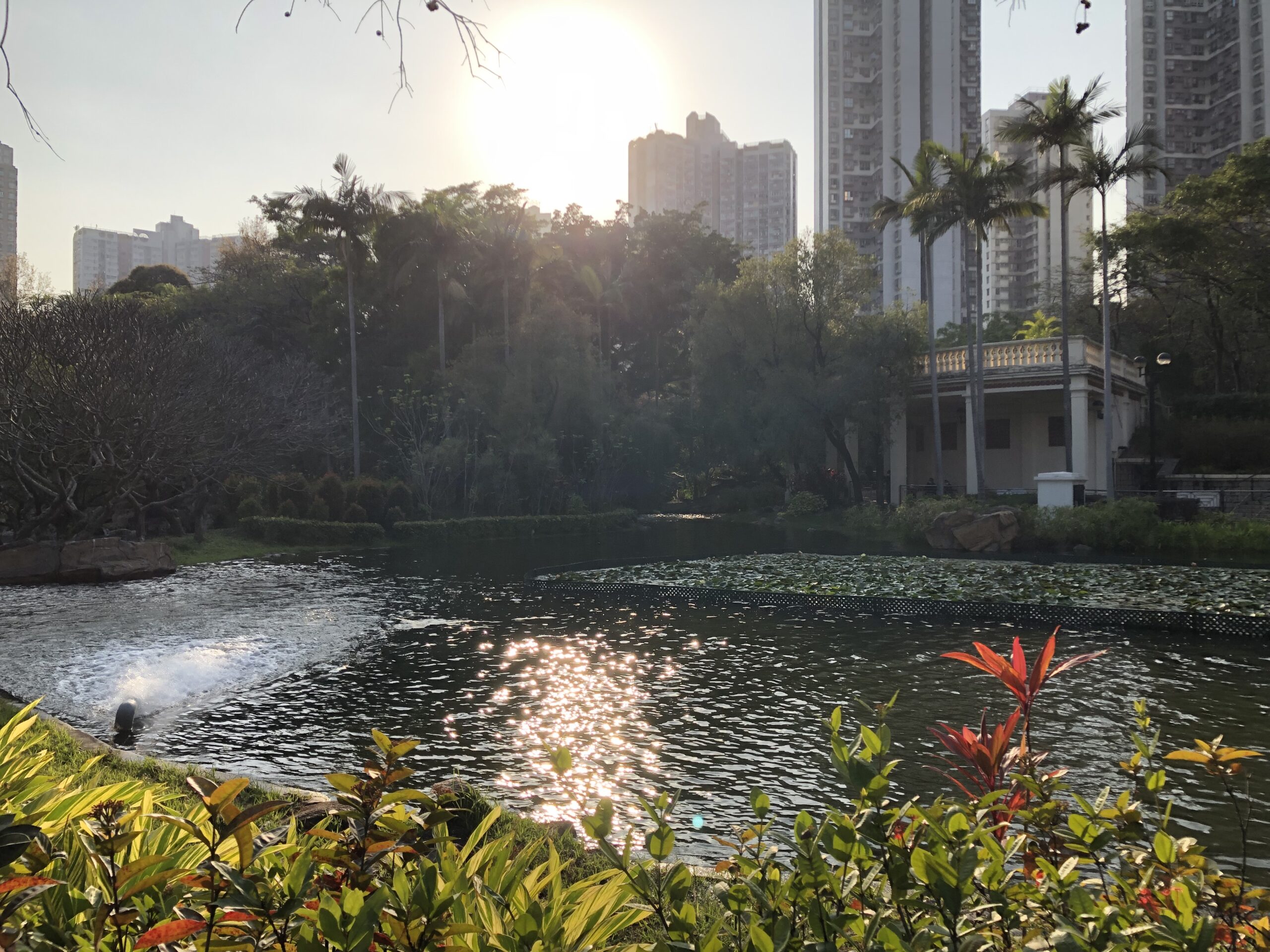 56D2C112-C2E9-49C1-A710-4C9317443F03 56D2C112-C2E9-49C1-A710-4C9317443F03