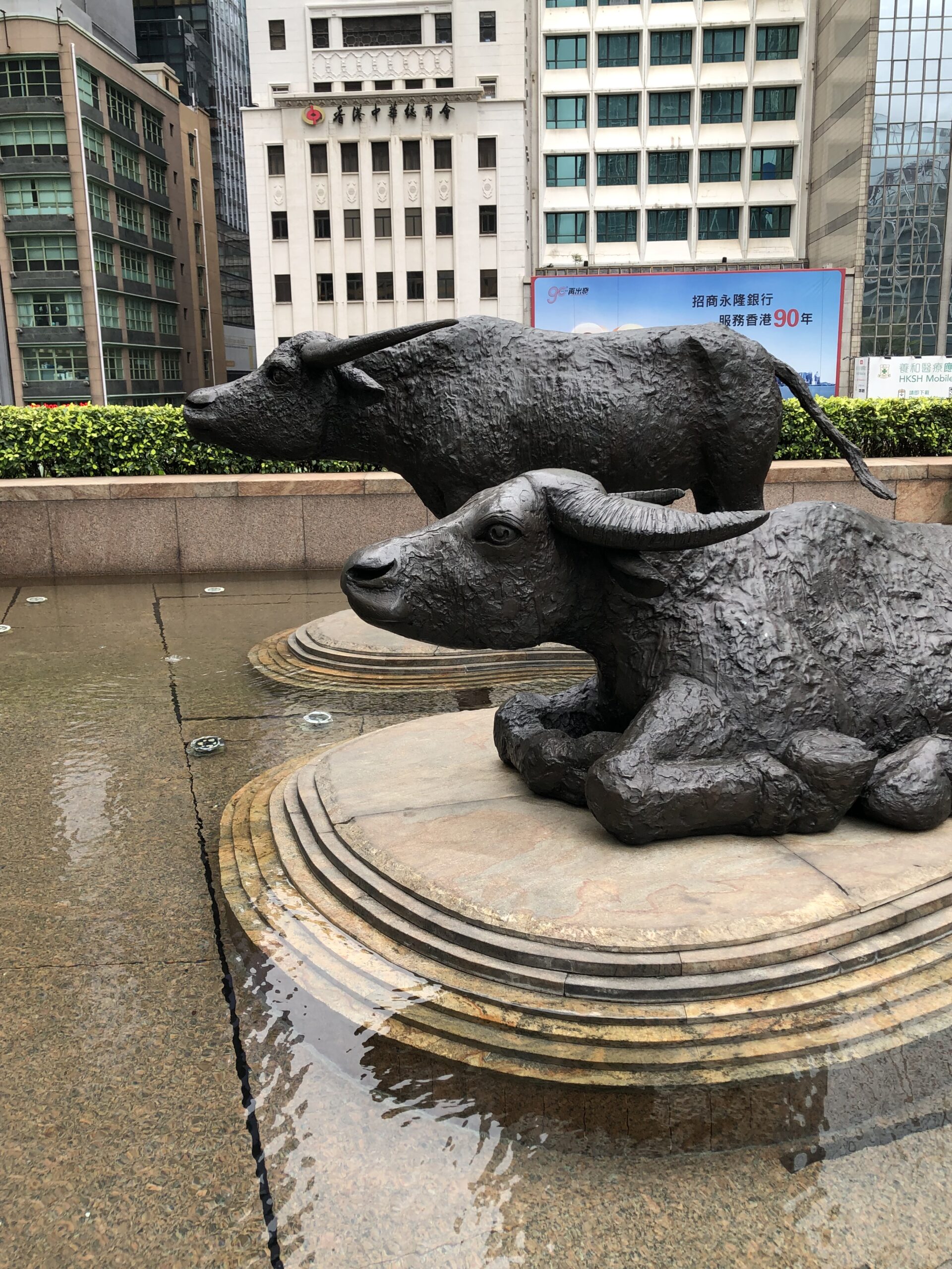 2D605C76-0640-44FB-B977-601A8B4C1B29 2D605C76-0640-44FB-B977-601A8B4C1B29