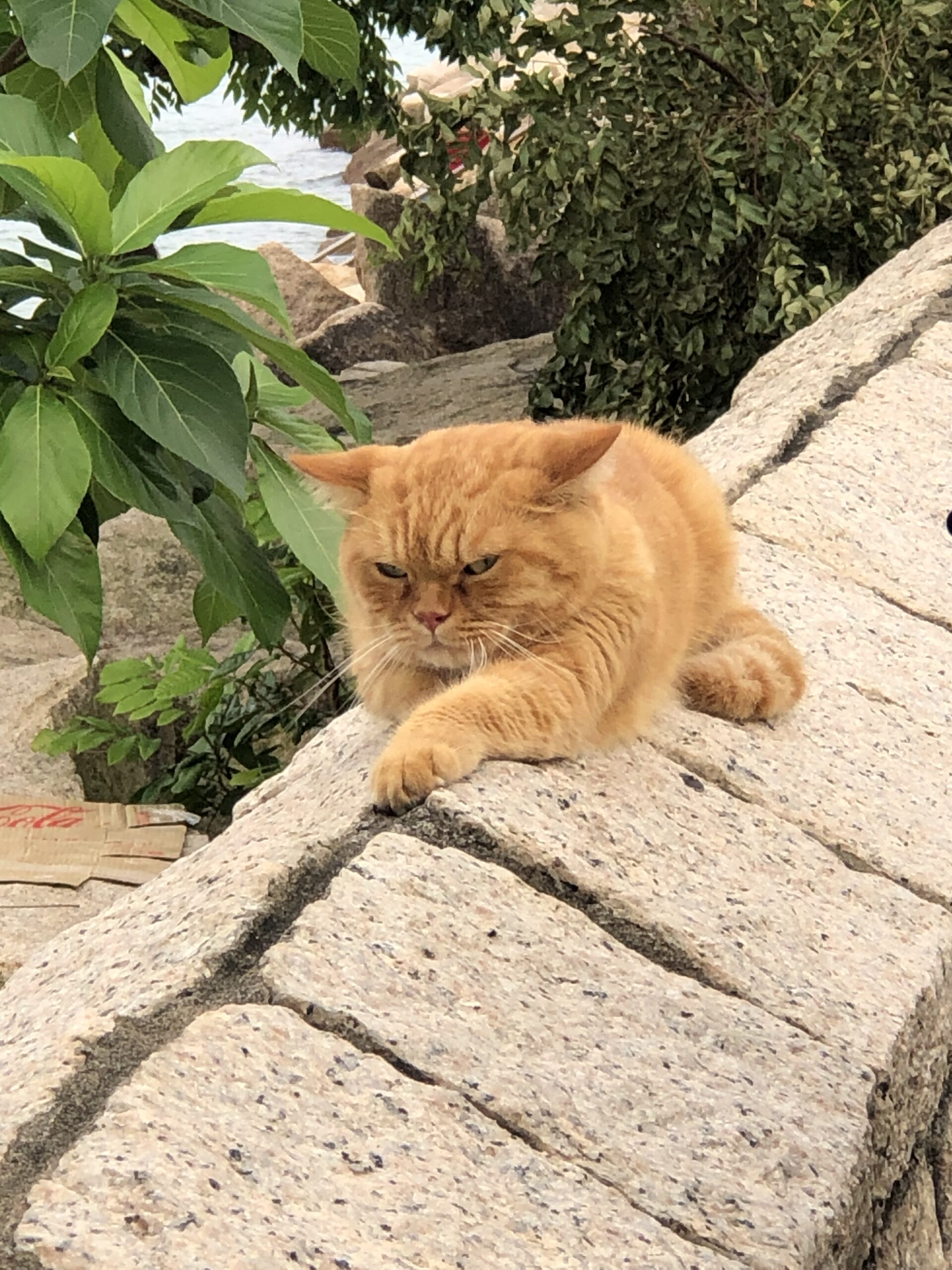 075BA2FA-F754-4721-9D4C-5E5D76BEA3AA 075BA2FA-F754-4721-9D4C-5E5D76BEA3AA