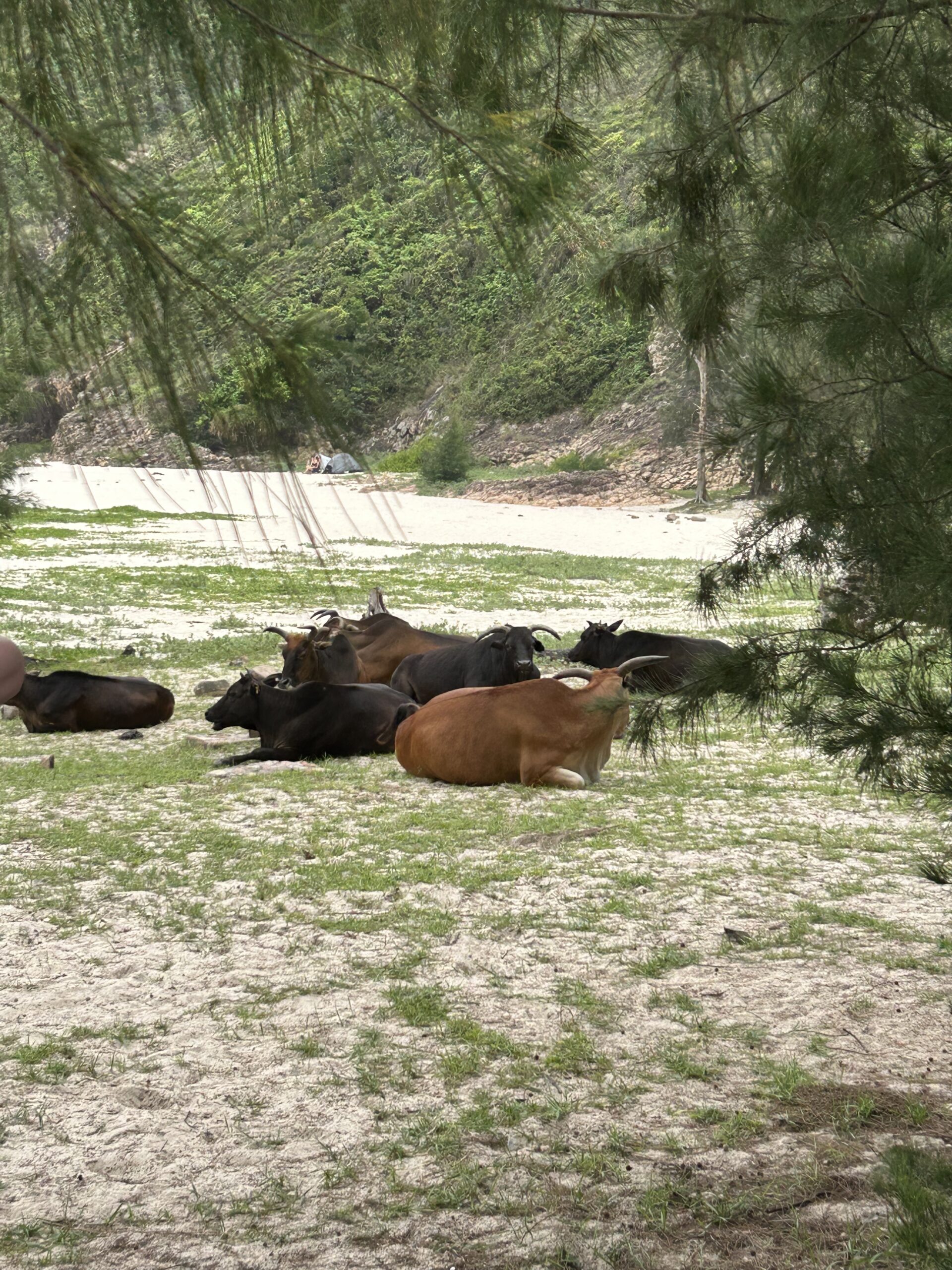 21AC6D7F-F05E-40B0-A1CE-057A83A6C962 21AC6D7F-F05E-40B0-A1CE-057A83A6C962