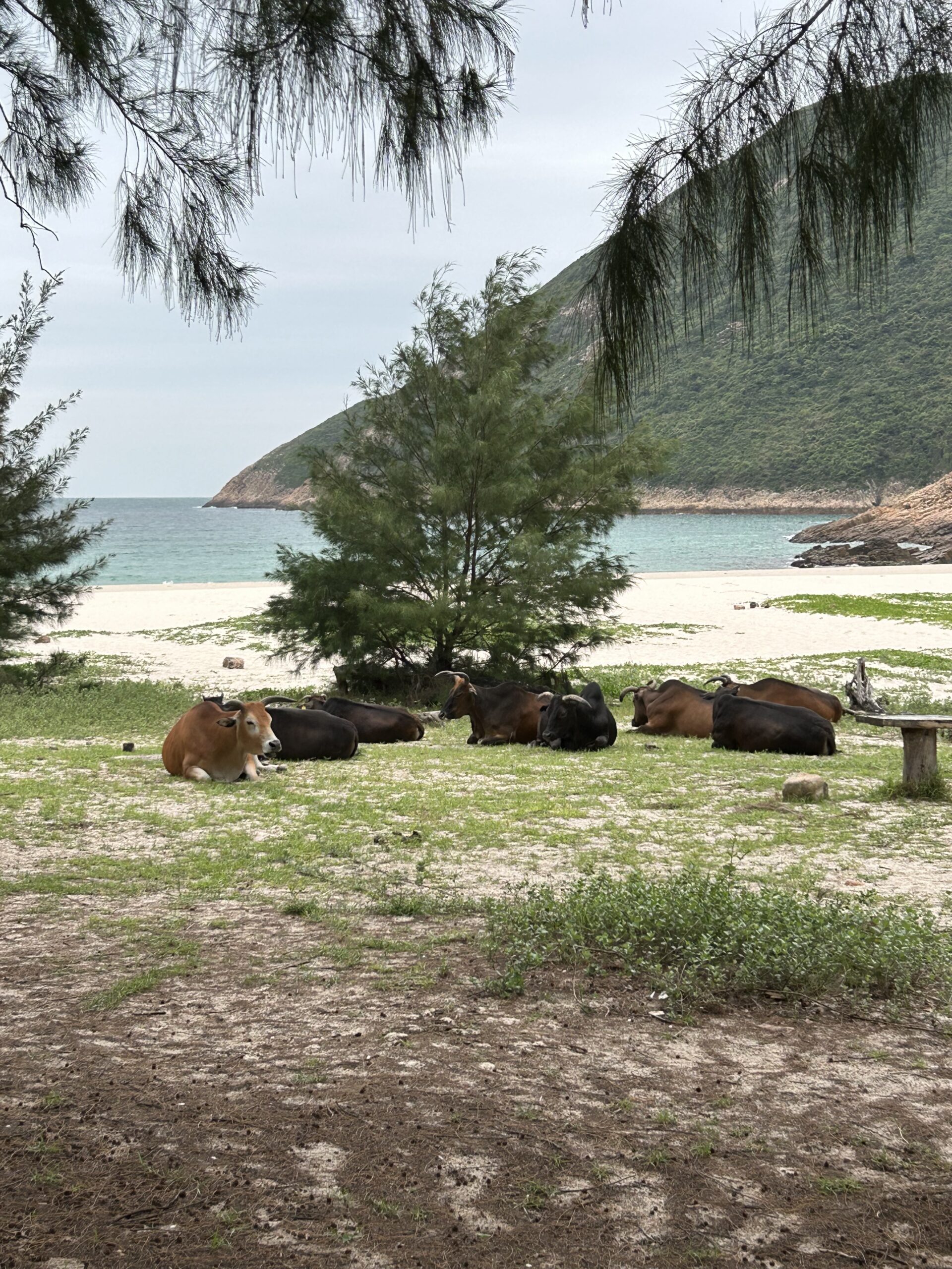 286F9B56-311F-4790-8920-0CDD4B26F791 286F9B56-311F-4790-8920-0CDD4B26F791