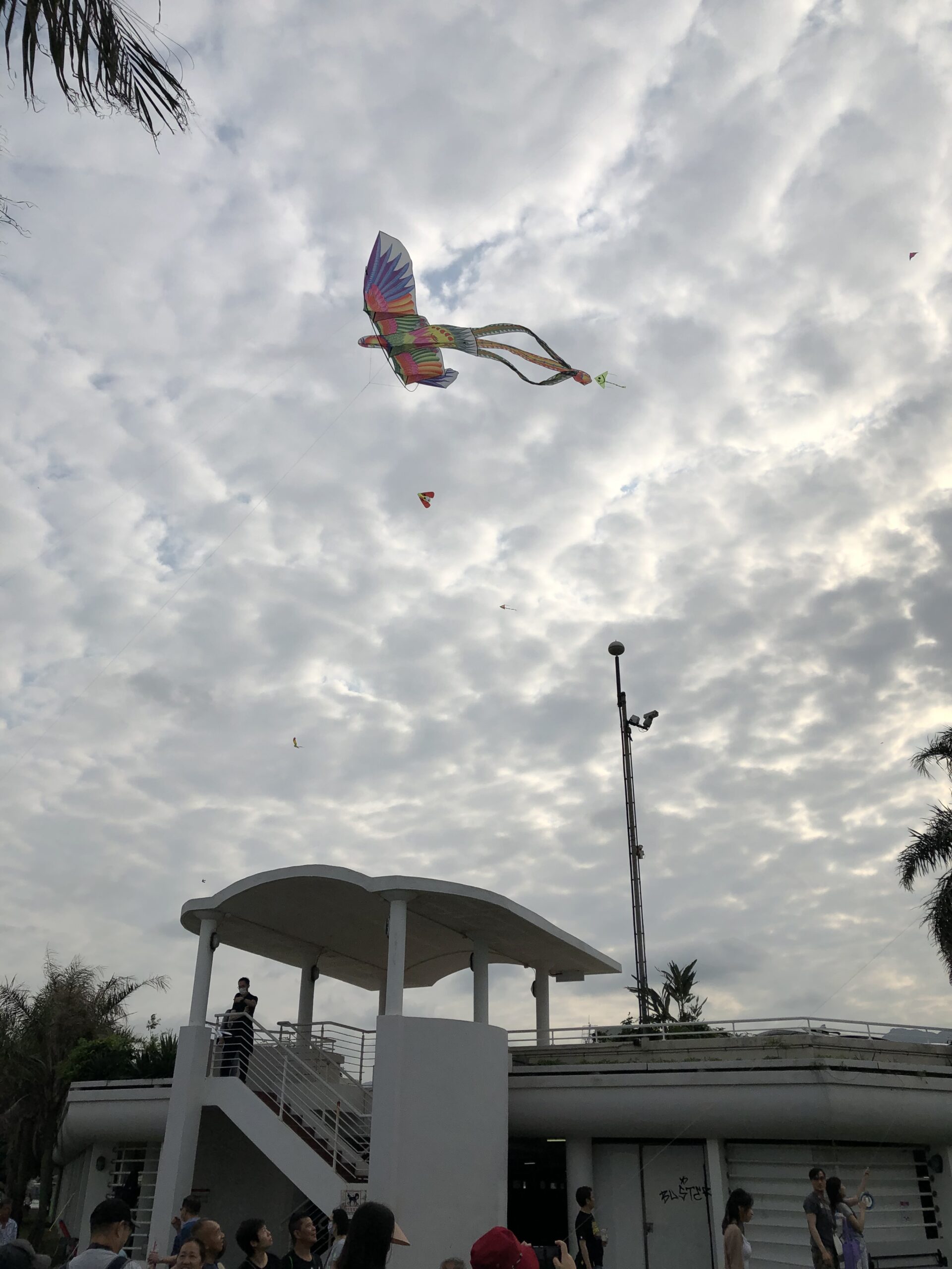 538D7345-69CC-43DD-9758-F51B6DE1FAB4 538D7345-69CC-43DD-9758-F51B6DE1FAB4