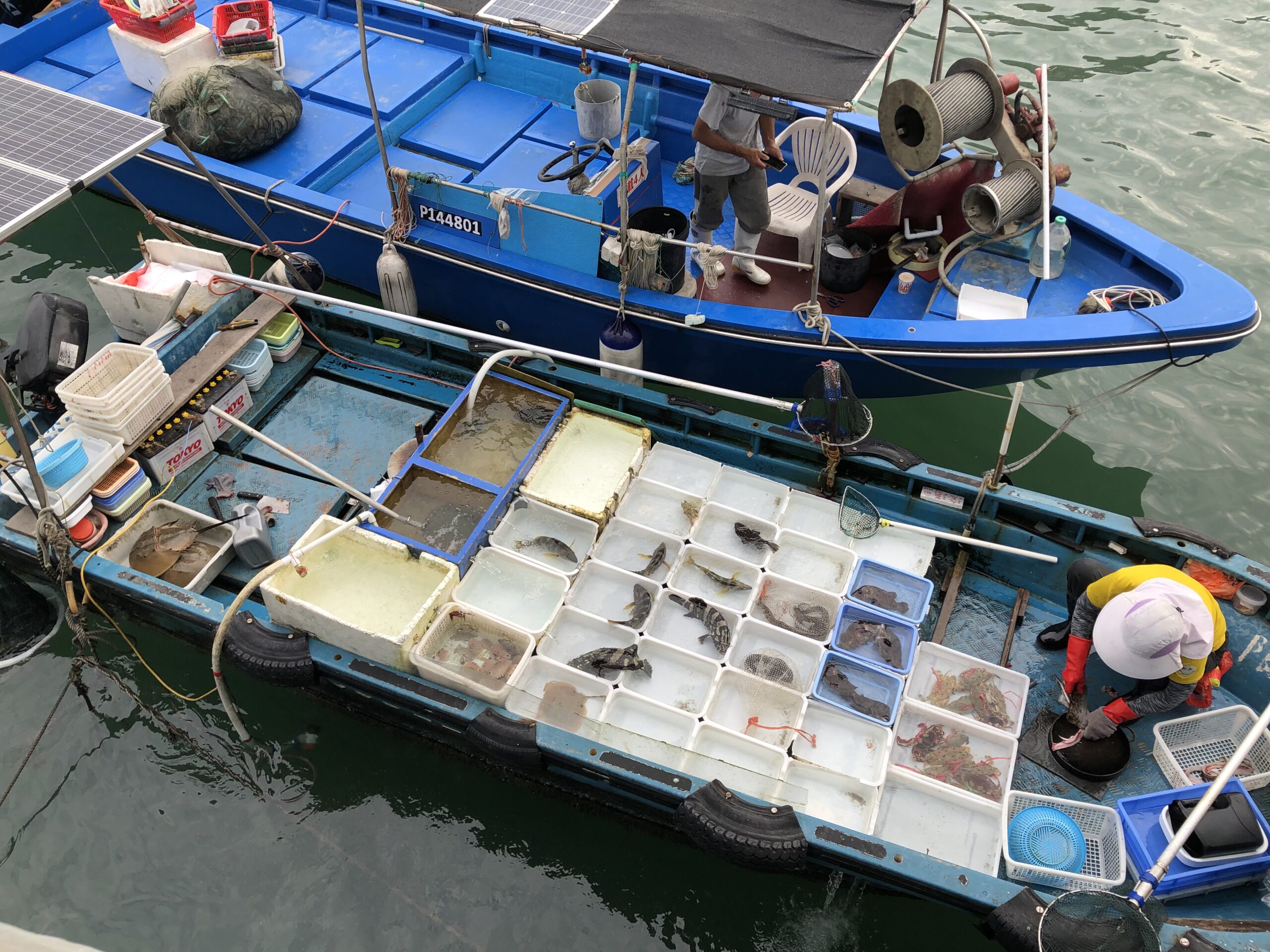 D2C4C19C-0733-4AE1-A6F9-D2C9F55EF467 D2C4C19C-0733-4AE1-A6F9-D2C9F55EF467