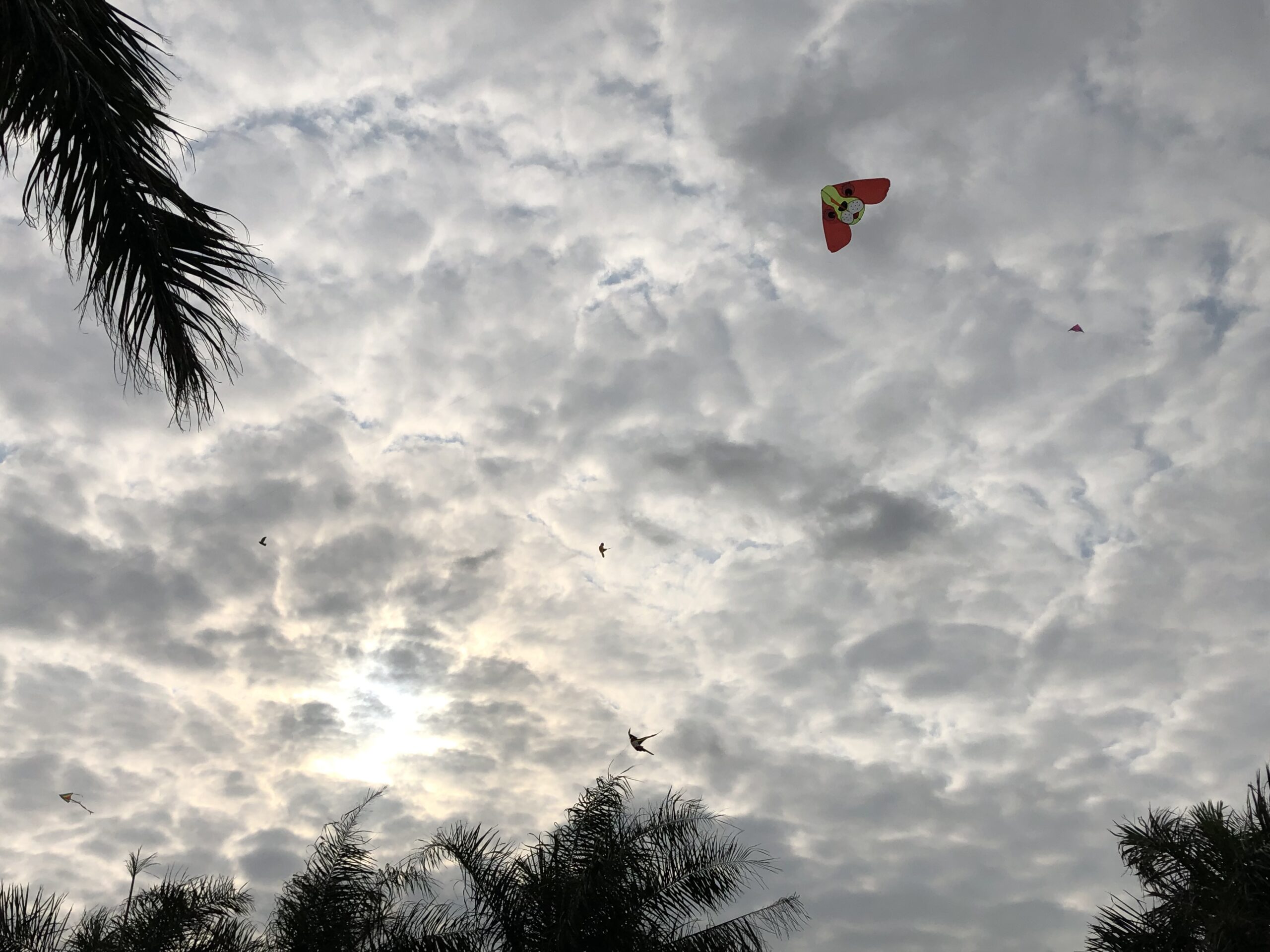 D4A70A3F-2CB2-4D6A-8B30-B59ED80BCA7B D4A70A3F-2CB2-4D6A-8B30-B59ED80BCA7B