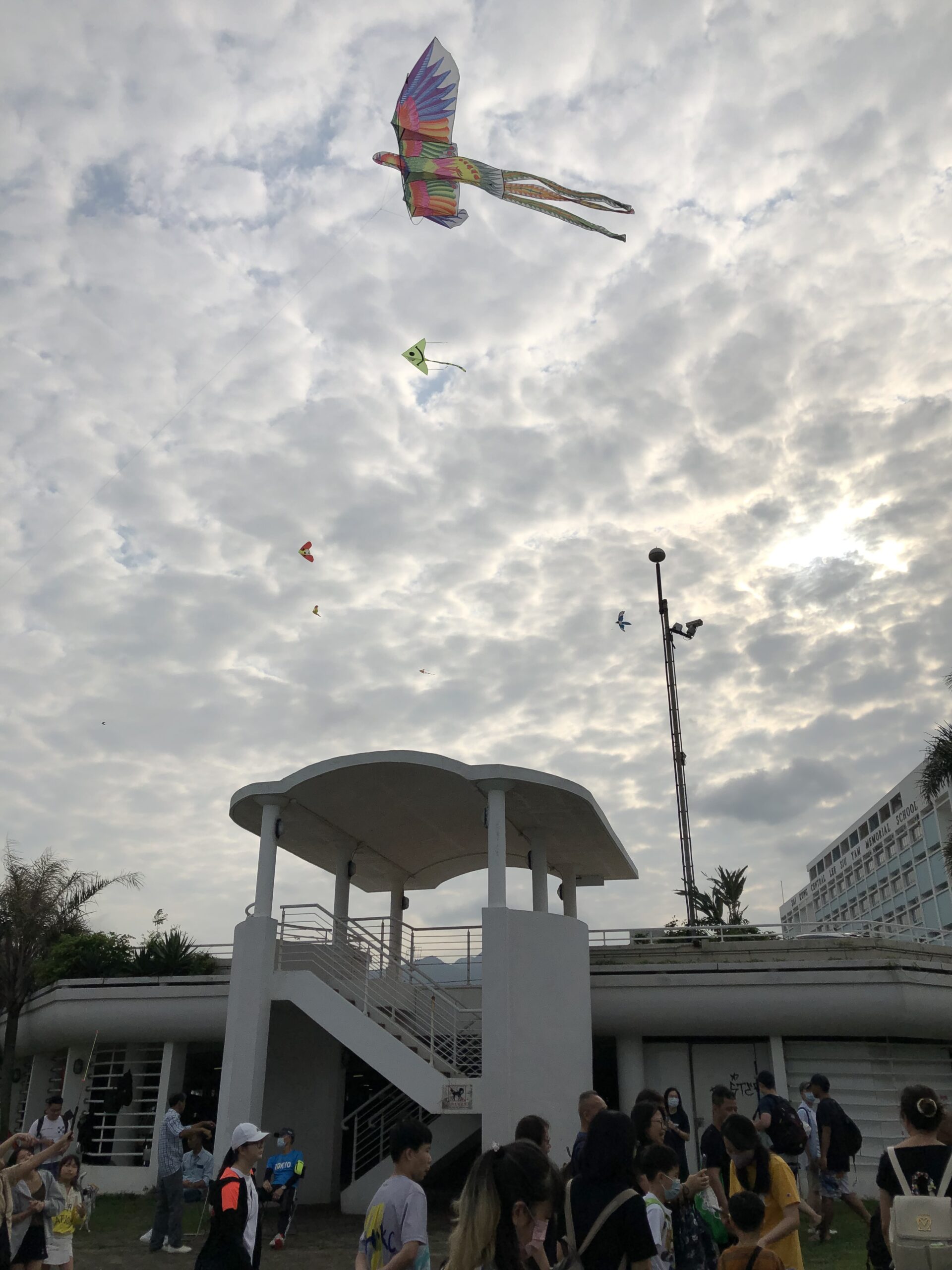 ED80AB87-201E-4D8C-B5ED-354420278100 ED80AB87-201E-4D8C-B5ED-354420278100